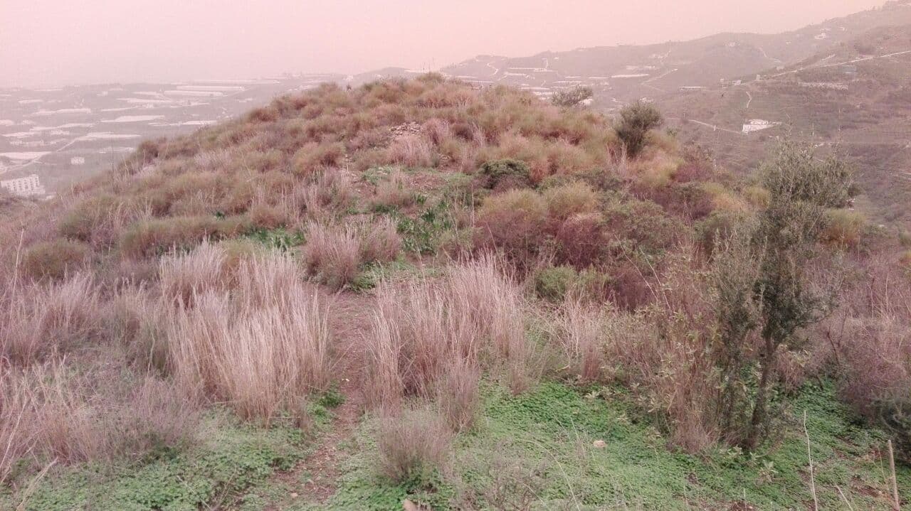 Parzelle zum verkauf in Algarrobo