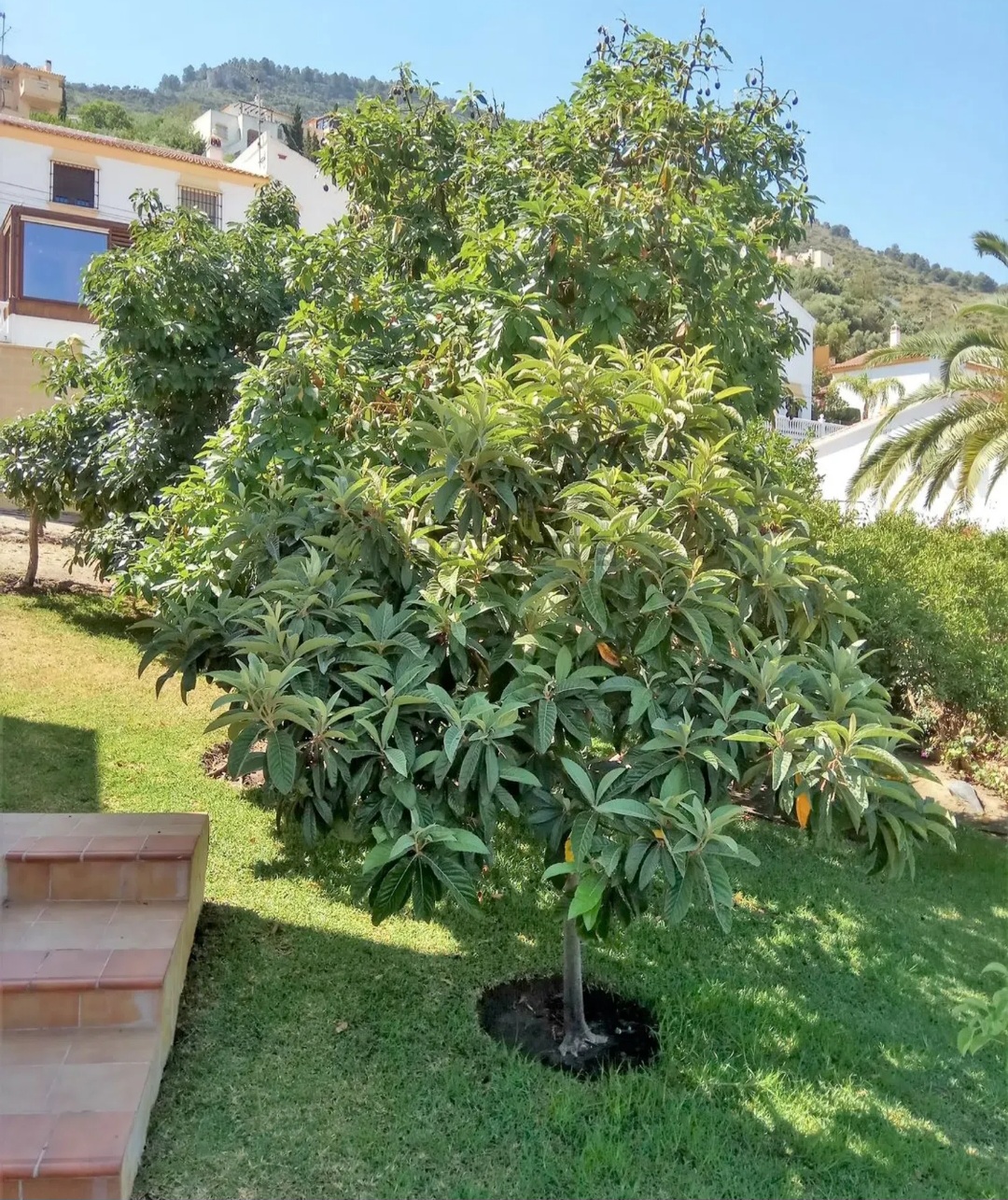 Villa en venta en Alhaurin de la Torre