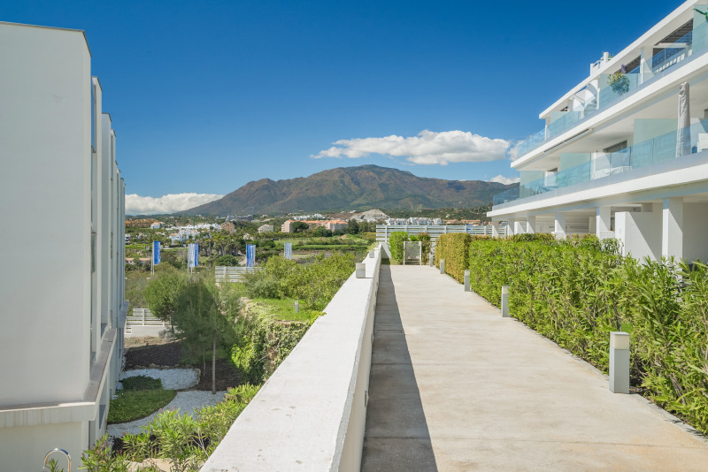 Penthouse en vente à Cancelada (Estepona)